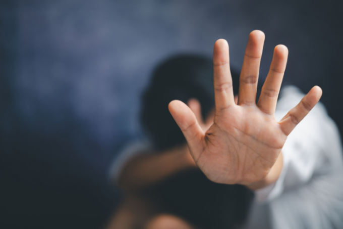 Domestic Violence and Sexual Assault/Victims Survivors (“DV/SA ...